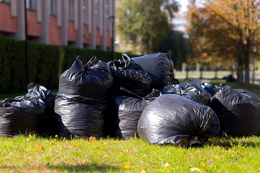 Trash Bags collected on lawn